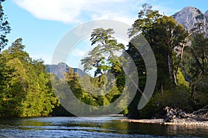 Ecoregion of the Valdivian temperate rainforests in southern Chile Chilean Patagonia photo