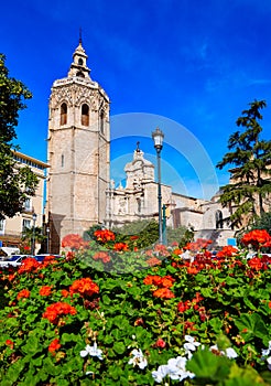 Valencia Cathedral and Miguelete tower Micalet photo