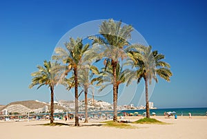 Valencia, Cullera palms beach photo