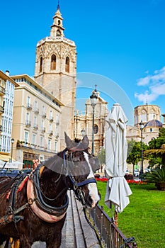 Valencia El Miguelete Micalet in Reina square and Cathedral photo