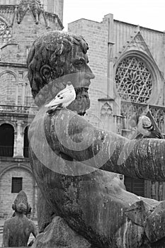 Valencia Fountain in the Plaza de la Virgen