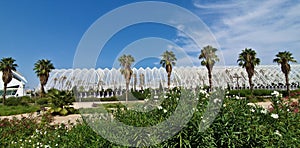Valencia L Agora art & science centre