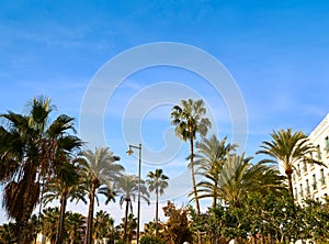 Valencia La Malvarrosa beach arenas Spain photo