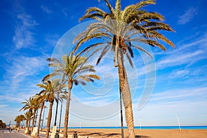 Valencia La Malvarrosa beach palm trees Spain photo