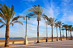 Valencia La Malvarrosa beach palm trees Spain photo