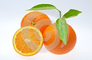 Valencia oranges photo