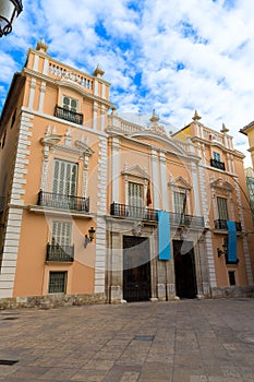 Valencia Palau Marques de Campo city museum