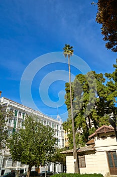 Valencia Parterre park high palm tree Spain