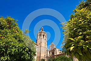 Valencia Plaza de la Reina square Miguelete