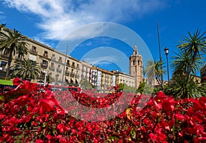 Valencia Plaza de la Reina square Miguelete