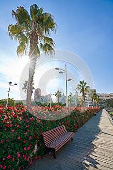 Valencia Puente de las Flores flowers bridge