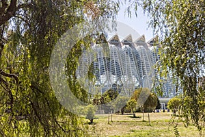Museum of Sciences in the City of Arts and Sciences. Calatrava\'s modern architecture photo