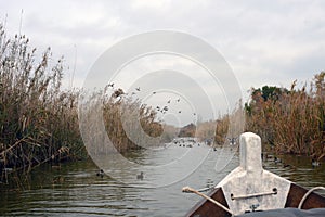 Valencia, Spain. Lake and Albufera Natural Park El Parque Natural de la Albufera de Valencia on a cloudy day.