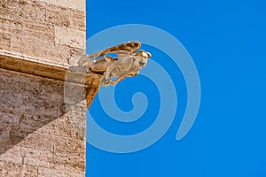 Obscene gargoyle in Lonja de la Seda Valencia city