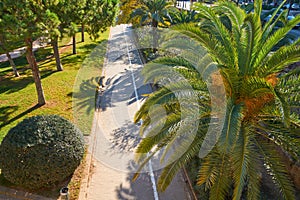 Valencia Turia park gardens view at Spain photo