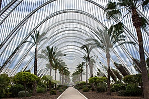 Valencia, urban garden