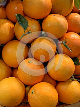 Valencian oranges on sale in the Mercado Central