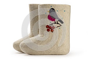 Valenki isolated on white background