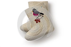 Valenki isolated on white background