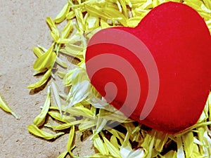 Valentain day concept copy space heart shape and crysathimam petals photo
