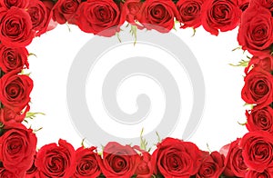 Valentýna nebo Výročí Červené Růže, Rámováno Kolem Prázdné Zprávy Prostor pro Váš Text nebo Obrázek.