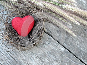 Valentine background ,red heart on bird nest with grass