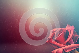 Valentine background