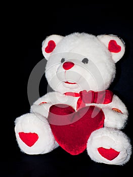 Valentine bear