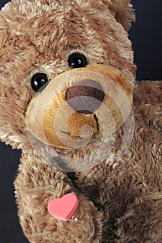 Valentine bear
