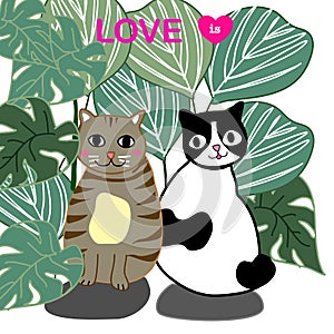 Valentine card with two cute cats on greenery nature hand drawn cartoon vector.happy valentine day.love is ...concept