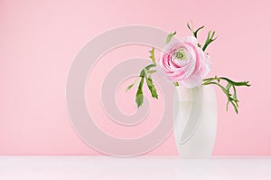 Valentine day background - gentle pink flower buttercup with green leaves in elegant vase on soft light white wood board.