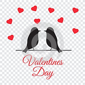 Valentine day couple dove. Pigeon hug, love and family. Valentin