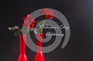 Valentine day february with red rose valentijn