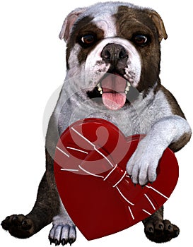 Valentine Day, Love, Dog, Isolated
