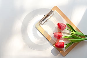 Valentine day. Red Lily on note pad background. Lover heart romantic in valentine day.