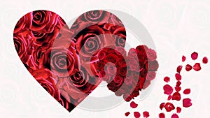 Valentine day symbol red roses heart symbol on white and red background with valentine day greeting card text wishes with gold con