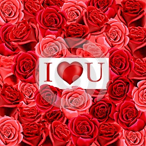 Valentine heart on red roses background