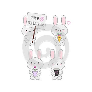 Valentine rabbit set