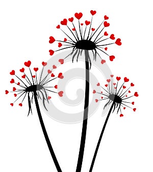 Valentine`s background with love dandelions.