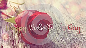 Valentine`s card with rose background