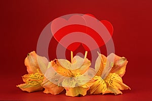 Valentine`s day background. Composition of red hearts in flowers on a red background. Copy space