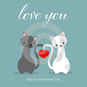 Valentine`s Day background of cute couple cats with red heart on blue background with Love you and Happy Valentine`s Day text.