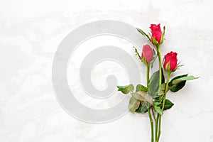 Valentine`s day background, template, Red roses, love symbol, on