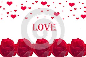 Valentine`s Day. Beautiful background with red bright roses with red hearts with the inscription on white background