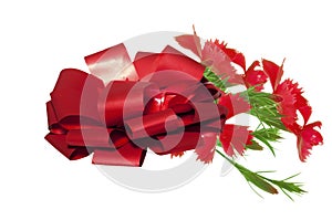 Valentine\'s Day  Beautiful red ribbon with bow and red carnations (DiÃÂ¡nthus) on white isolated background photo