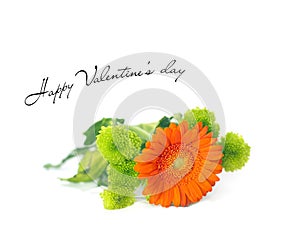 Valentine`s day card with Orange Herbera