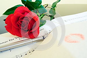 Valentine's Day Composition