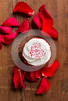 Valentine`s Day Cupcake and Rose Petals