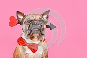 Valentine\'s Day French Bulldog dog with cupid love arrow and bow tie on pink background