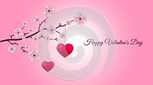 Valentine`s day greeting card, banner. Realistic vector illustration with sakura branch and 2 pink hearts hanging from tree